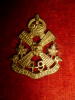 M151 - The Loyal Edmonton Regiment Collar Badge 